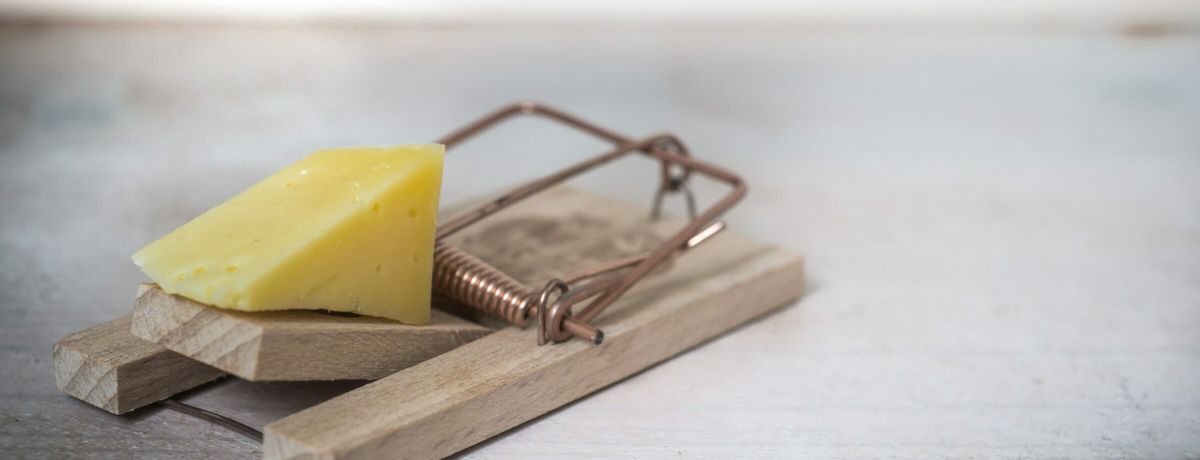 pexels skitterphoto 633881 1 scaled e1612187186764 21c7be1b