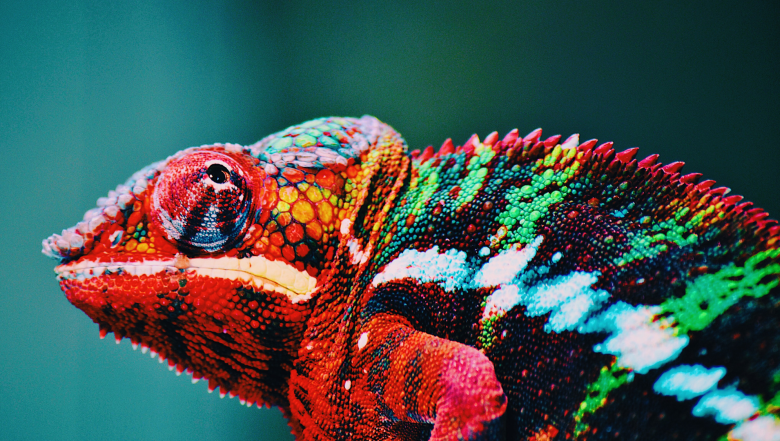 Unternehmenskultur - zukunftsfit in 5 Schritten