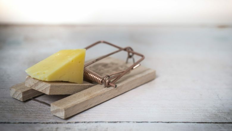 pexels skitterphoto 633881 1 scaled e1612187186764 7dbe5f4e