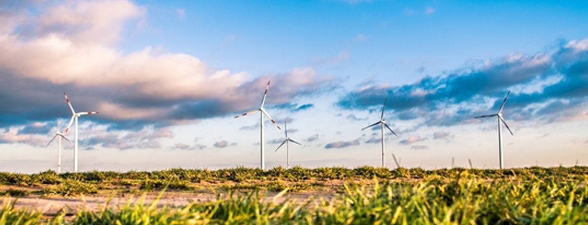 Nachhaltigkeit als Chance begreifen