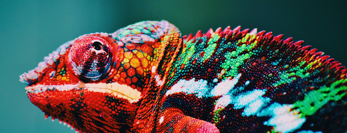 Unternehmenskultur - zukunftsfit in 5 Schritten