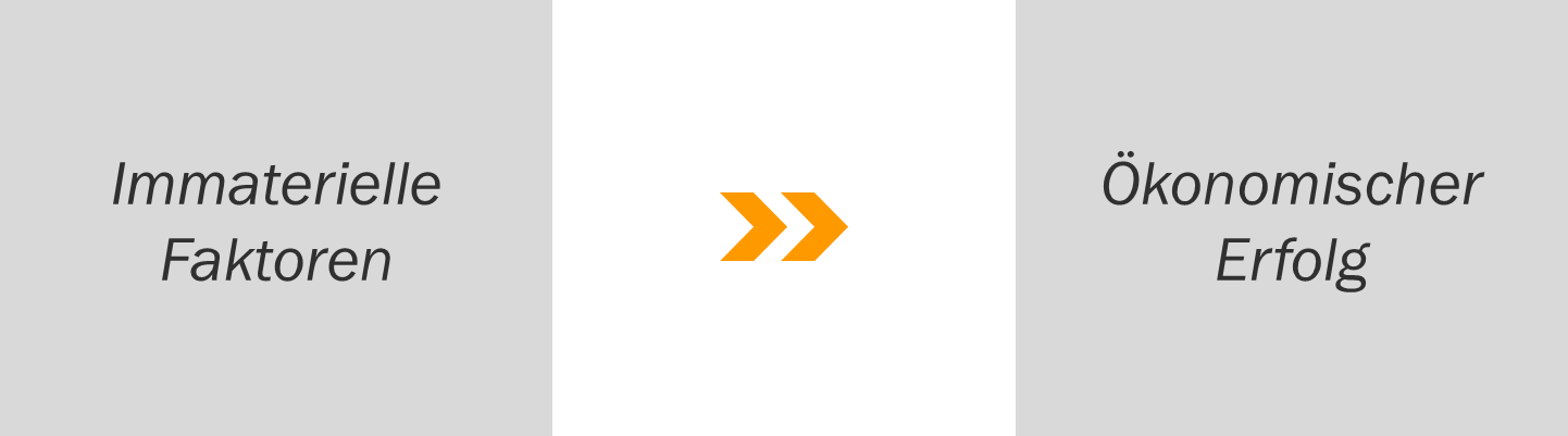 immateriell okonomisch